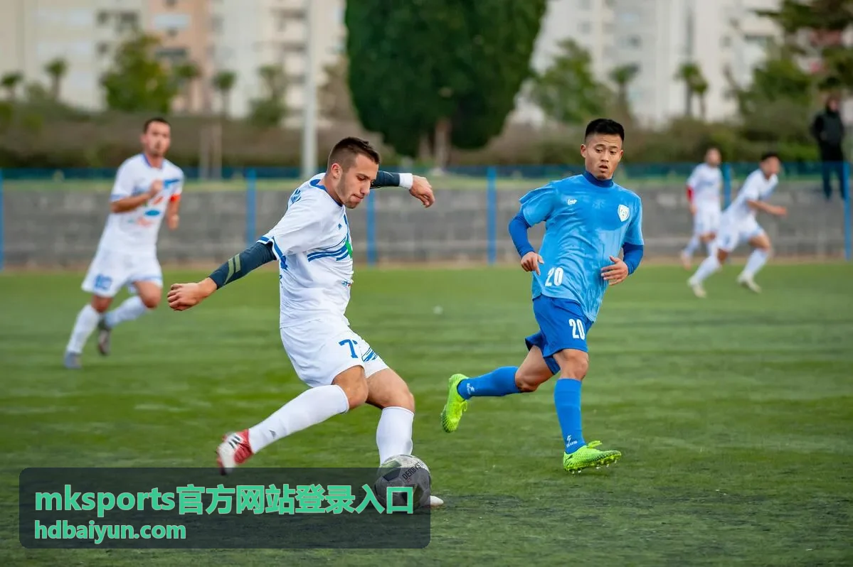 mksports官方网站登录入口入口检测说明